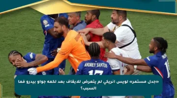 «جدل مستمر» لويس إنريكي لم يتعرض للإيقاف بعد لكمة جواو بيدرو فما السبب؟